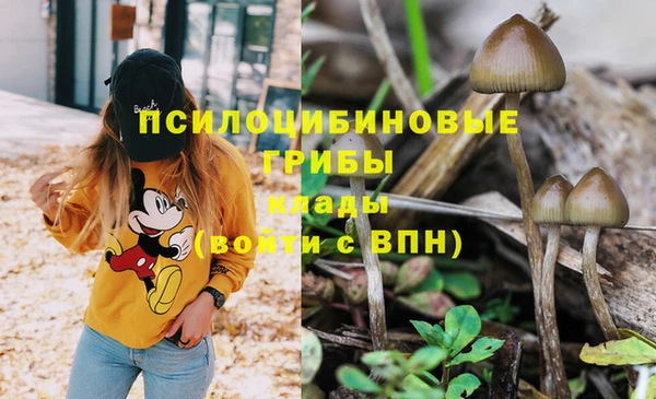 mix Алексин