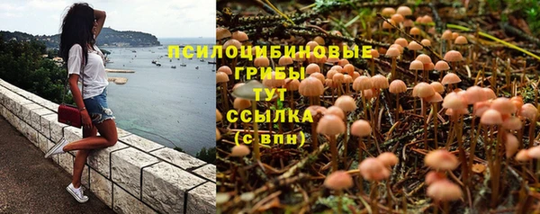 тгк Алзамай