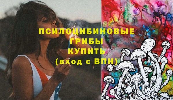 ГАЛЛЮЦИНОГЕННЫЕ ГРИБЫ Алексеевка