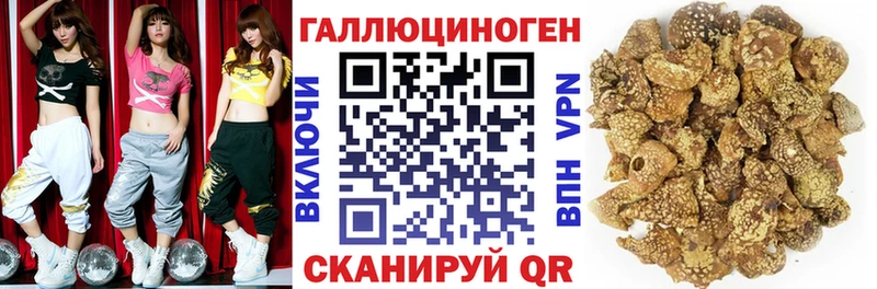 Псилоцибиновые грибы мухоморы Волжский